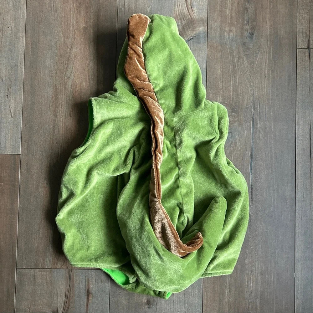 Infant (12-18M) Dinosaur Costume